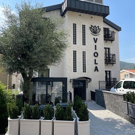 Viola Hotel Budva Exterior foto