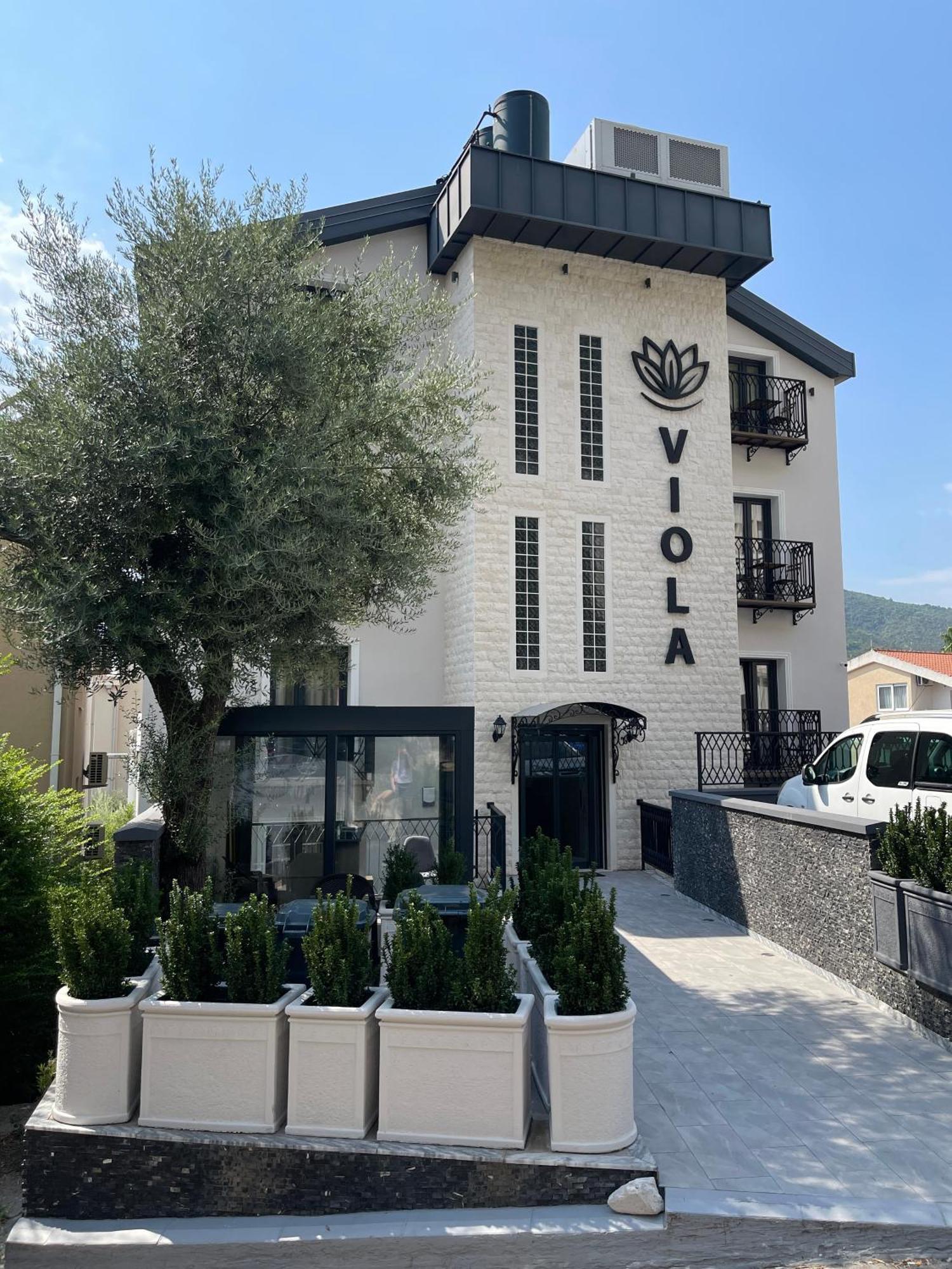 Viola Hotel Budva Exterior foto